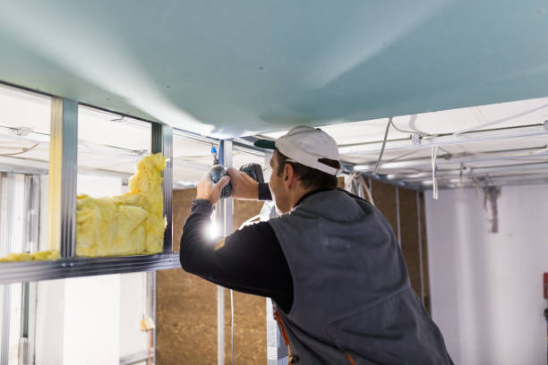 Best Residential Insulation in San Diego Country Estates, CA